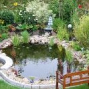 Товары для пруда